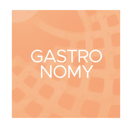 Informacion Gastronomy