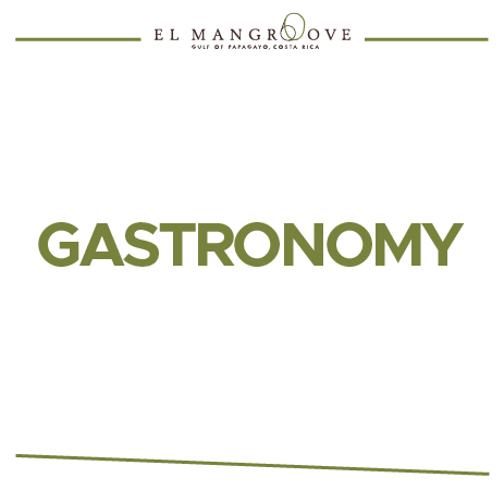 Informacion Gastronomy