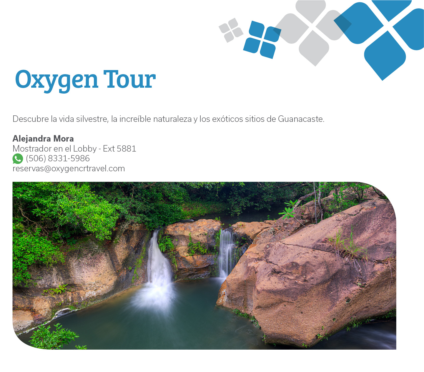 Oxigen Tour